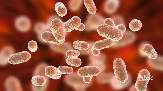 Microbiota