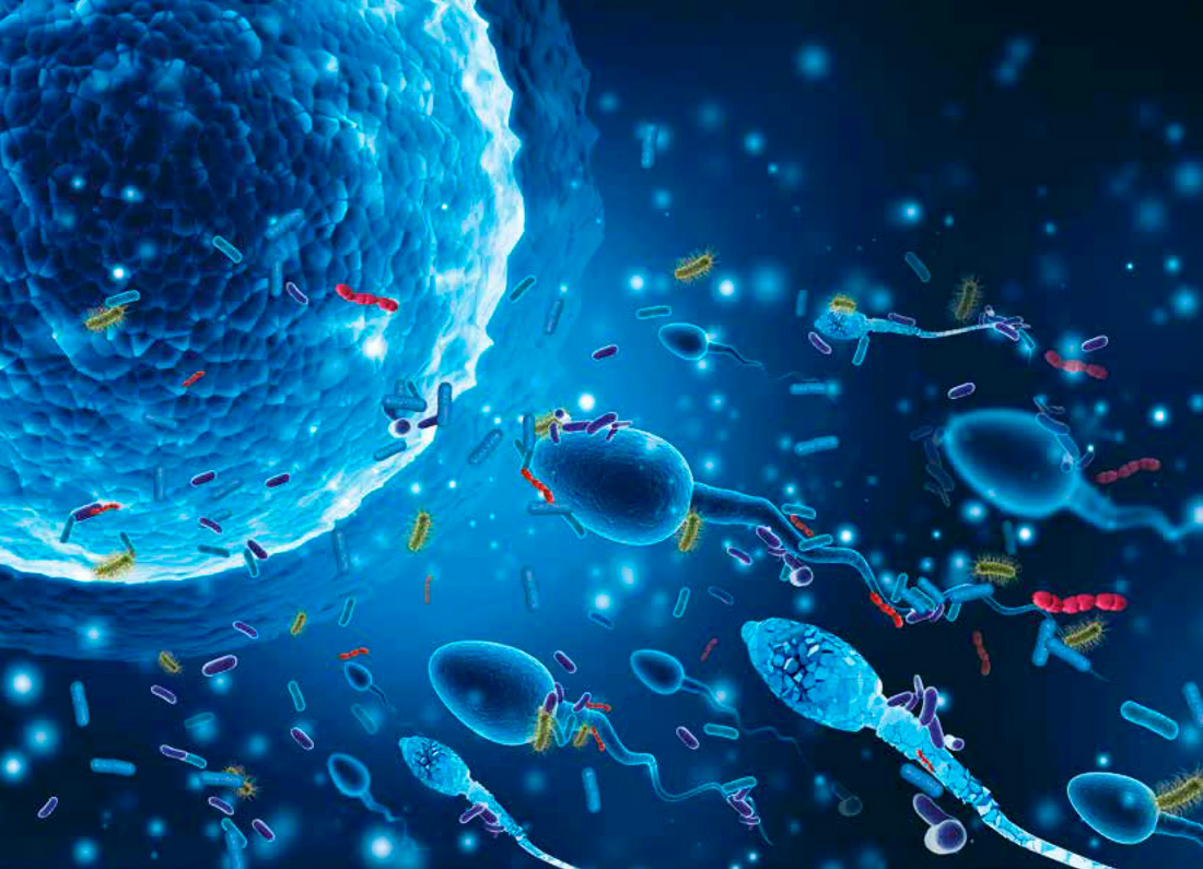 La Revue des Microbiotes: microbiota genital, fertilidad y nuevos enfoques en salud